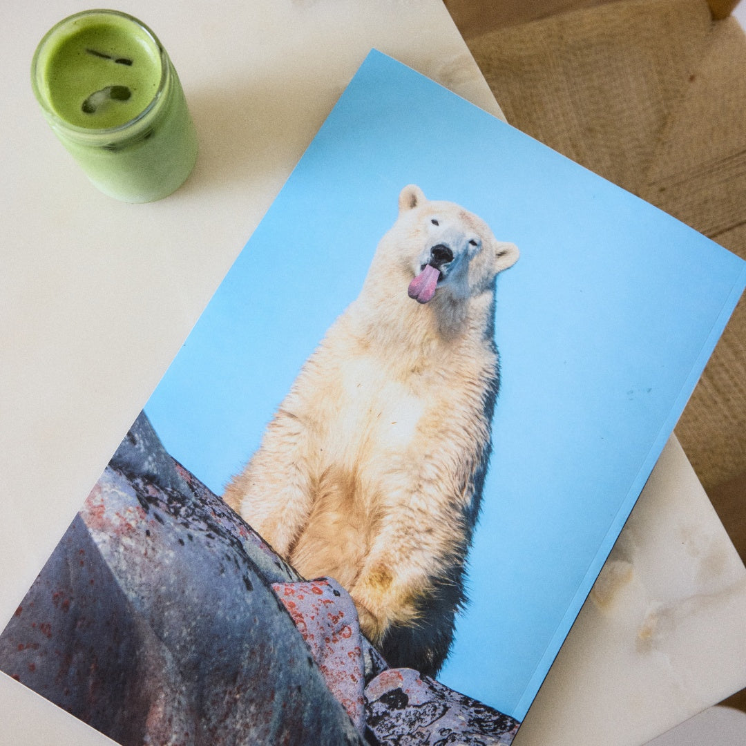 Mountain Gazette Gift Subscription
