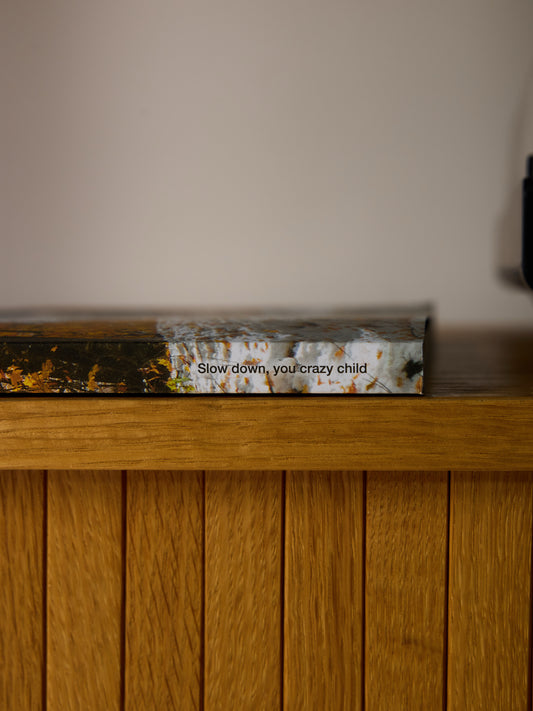 The Spine Text on Mountain Gazette 204 The Fall 2025 Issue Reads "Slow down, you crazy child"