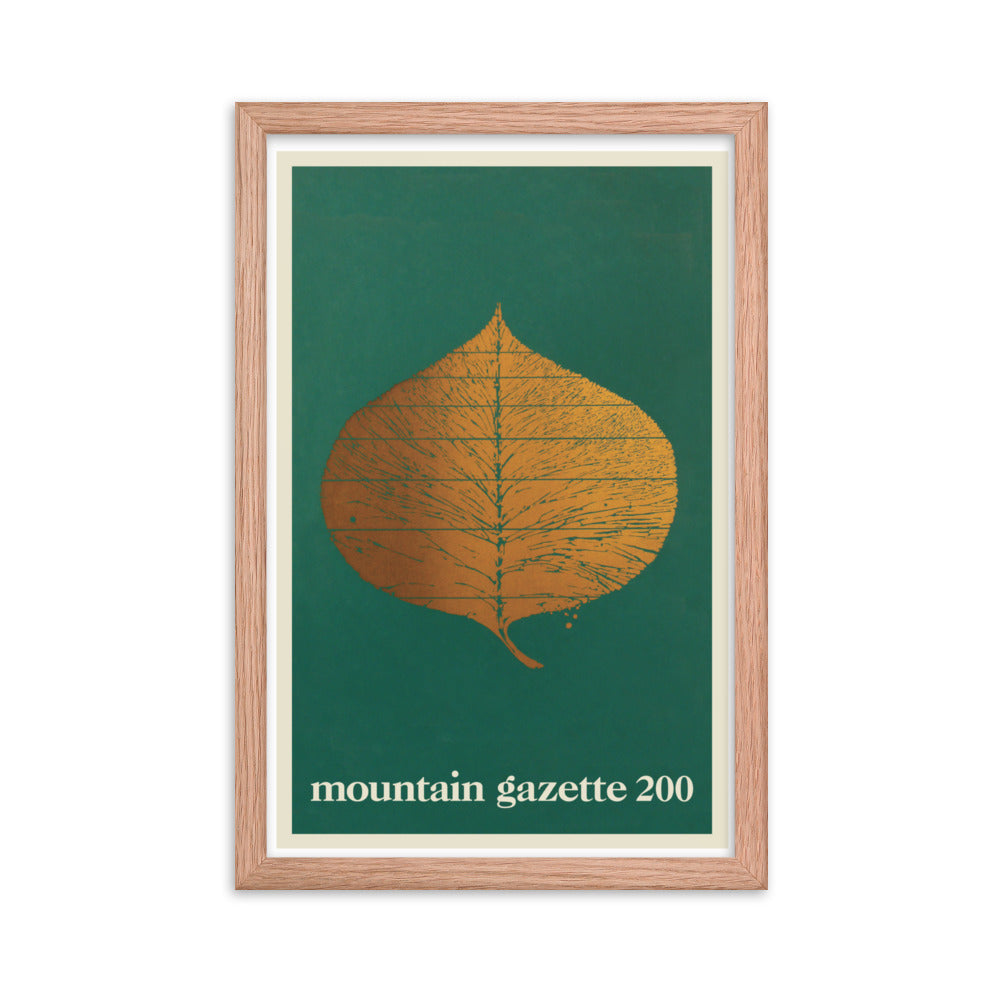 Issue 200 Cover Art Framed Print