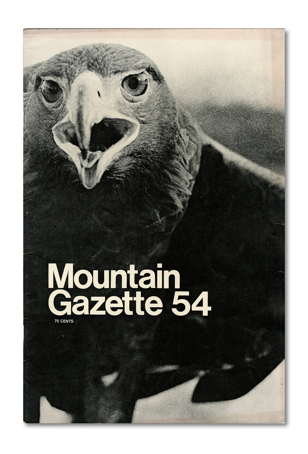 Large Cover Art Poster (24x32)
