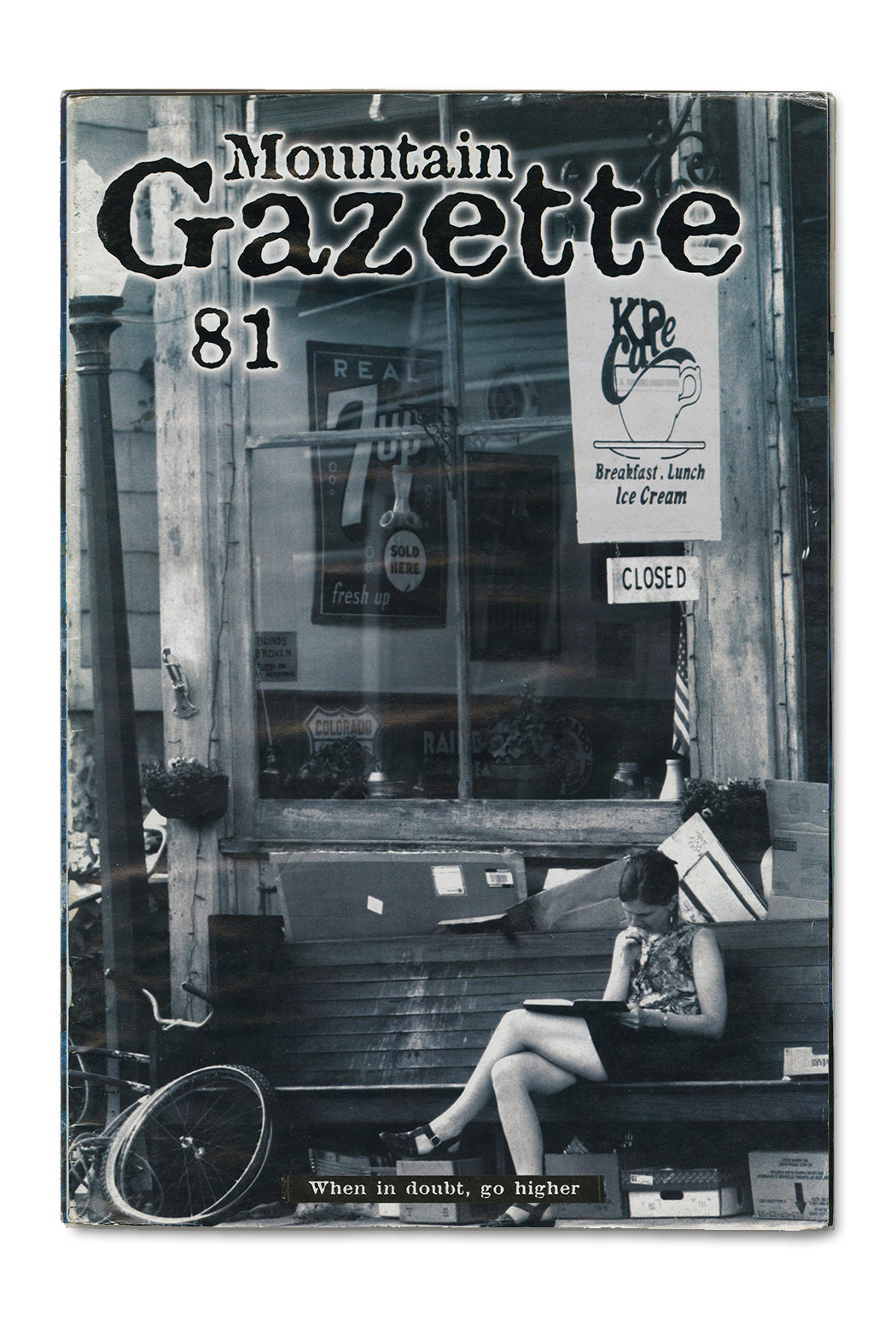 Large Cover Art Poster (24x32)