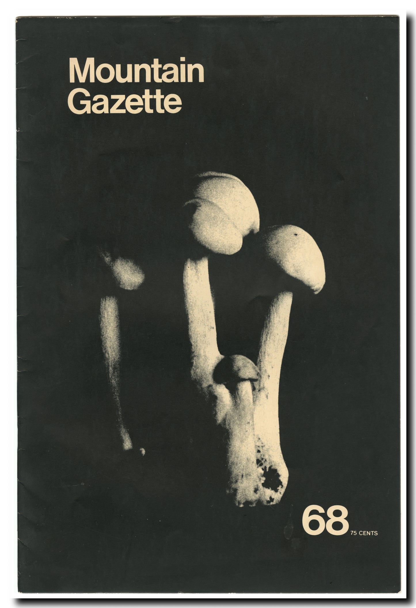 Large Cover Art Poster (24x32)