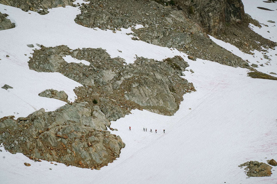 Rethinking the Whistler Experience