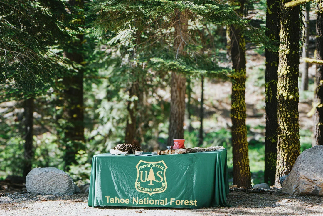 "The Best People I Know Are Losing Their Jobs" - A Q&A with Wildfire Journalist Amanda Monthei