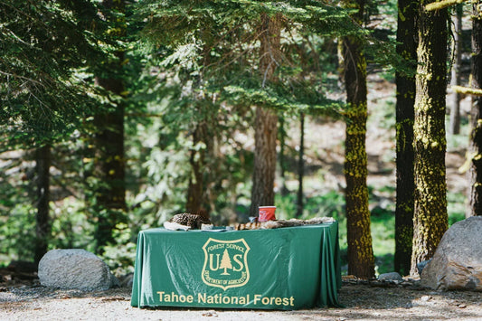 "The Best People I Know Are Losing Their Jobs" - A Q&A with Wildfire Journalist Amanda Monthei
