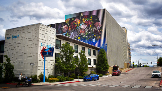 Concrete for Canvas: Meet Reno's Outdoor Muralist