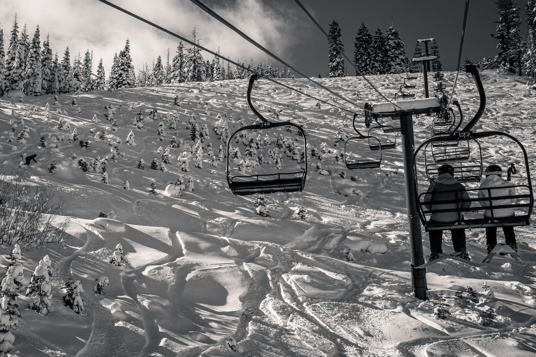 Editor’s Note: Sing Along With The Birds