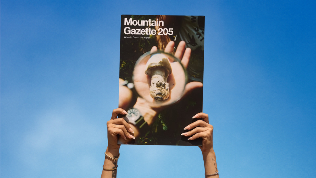 Seeking Boundaries: The 205 Cover Story