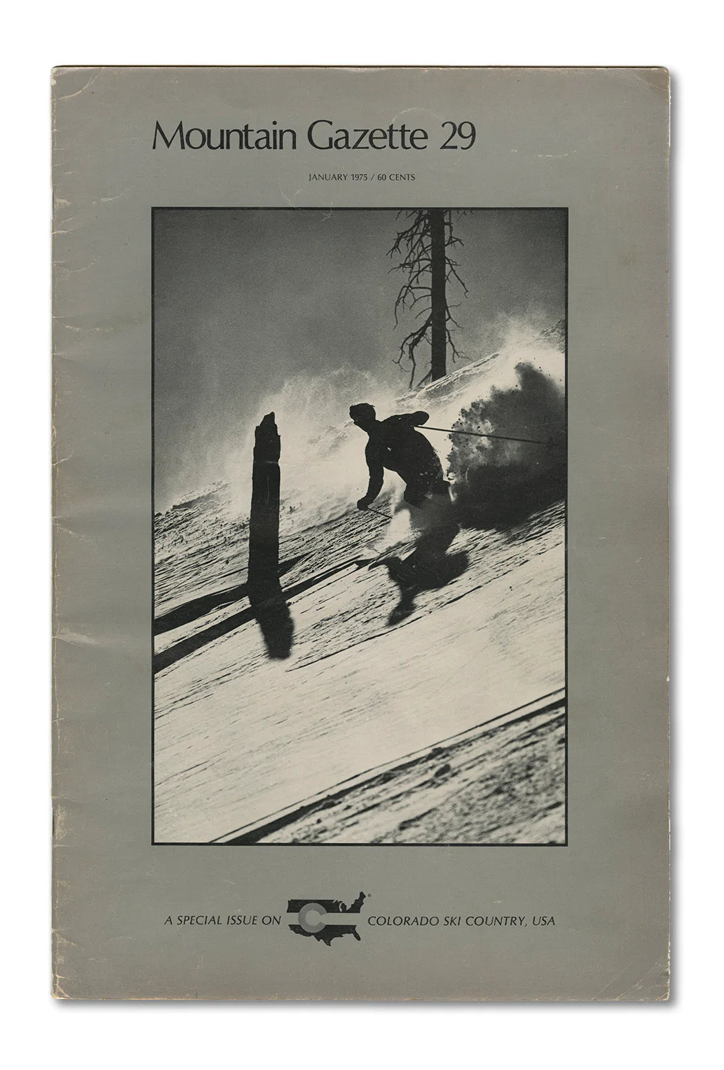 Skiing Cover Art