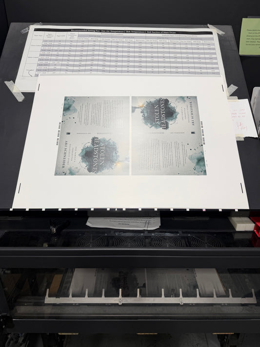 Stolen Headstones by Ari Schneider - Pre-Order