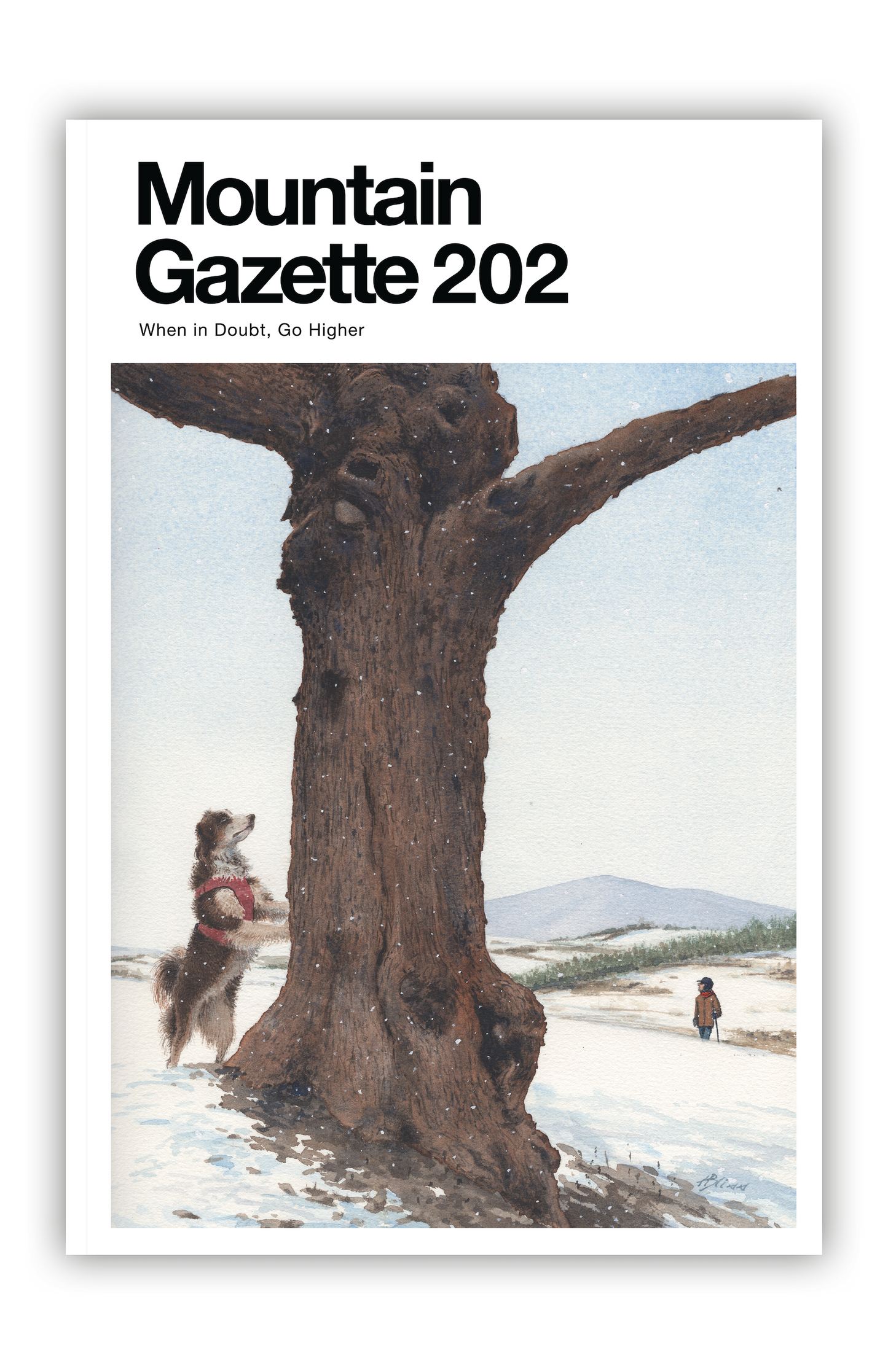 Mountain Gazette magazine issue 202 with art by Harry Bliss