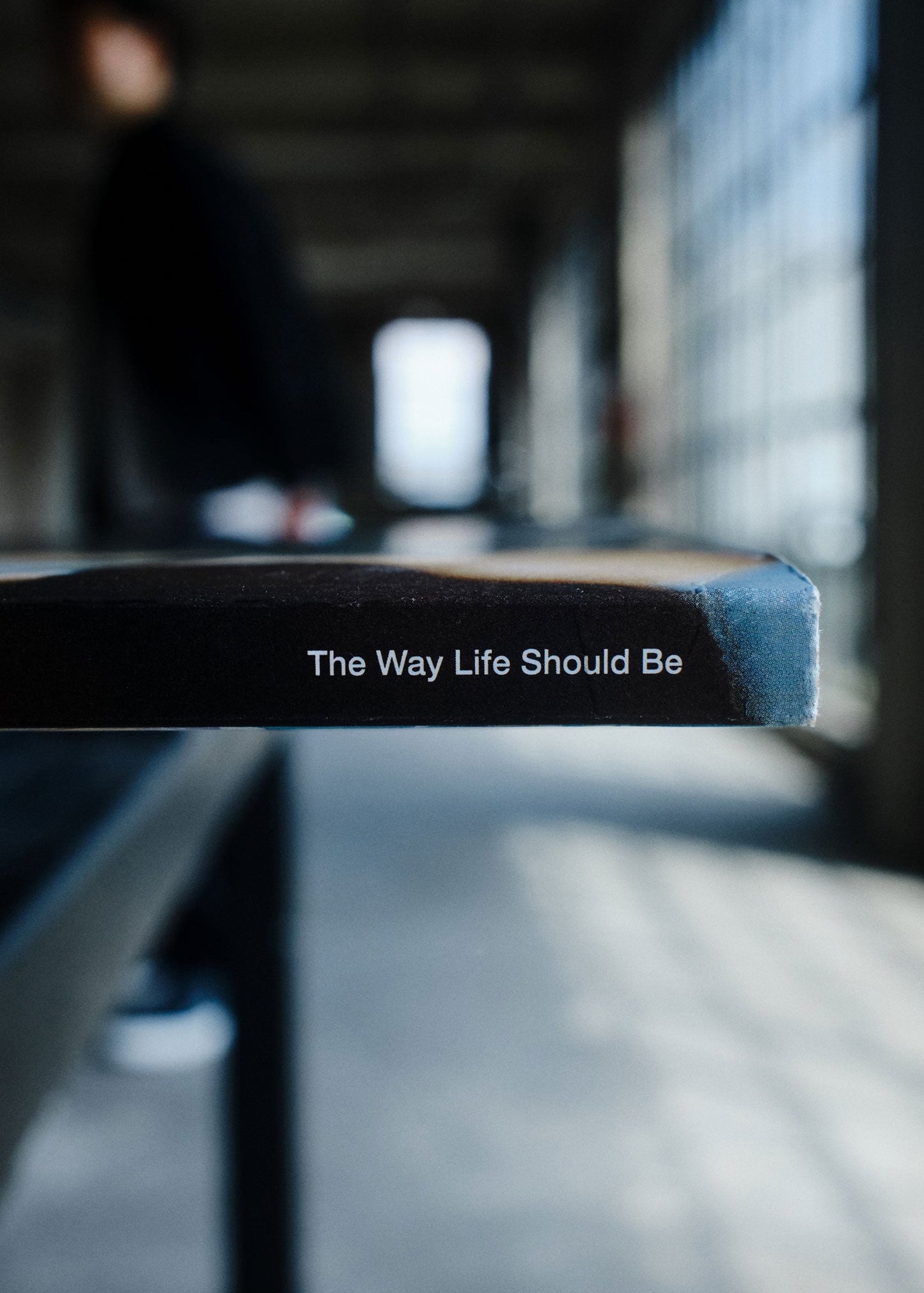 Text on the spine of Mountain Gazette 205 that reads 'The Way Life Should Be'.