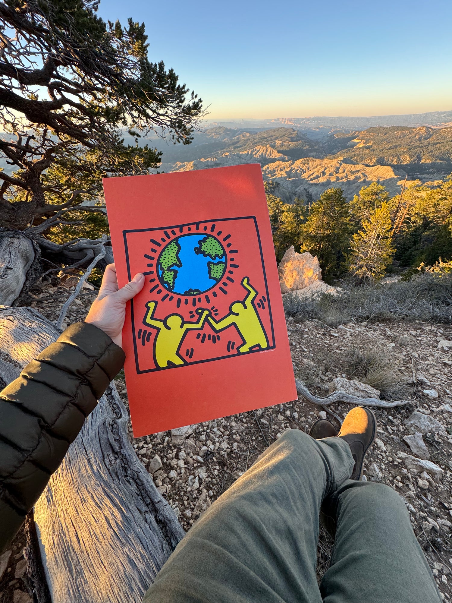 A person sitting outdoors on a rocky mountain overlook holds up the back cover of Mountain Gazette 206 magazine featuring a red art print with stylized yellow figure and blue/green globe. The background shows a wide natural landscape with trees, hills, and a clear blue sky.